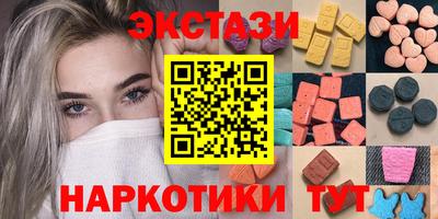 стафф Гатчина
