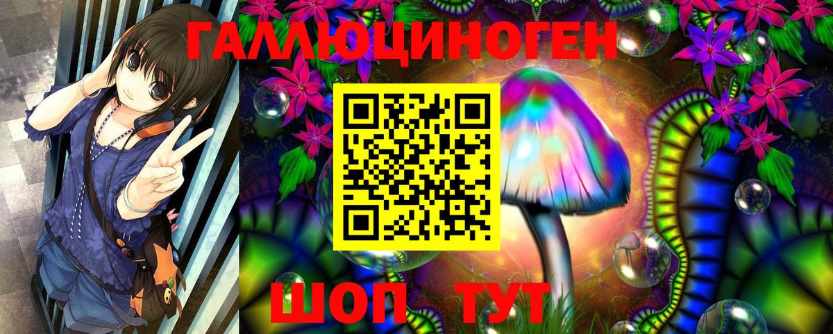 Псилоцибиновые грибы Psilocybine cubensis Электрогорск