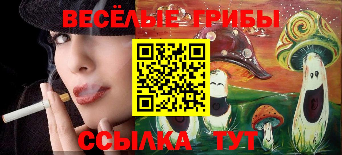 Псилоцибиновые грибы Psilocybine cubensis  Галлюциногенные грибы Psilocybine cubensis  Вход с VPN  Электрогорск 